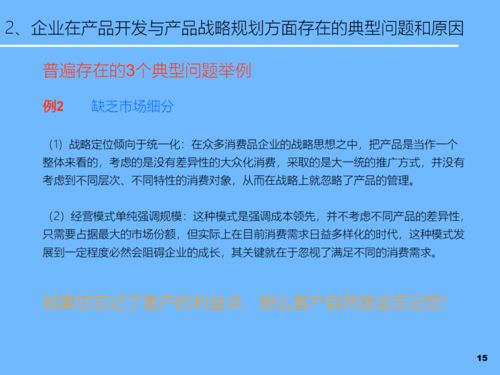 PPT新產品開發及產品戰略規劃 軟件開發與技術推廣
