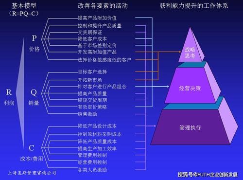 高技術(shù)產(chǎn)品企業(yè)盈利能力提升案例Ⅲ 基于系統(tǒng)思考的軟件開(kāi)發(fā)與技術(shù)推廣模型